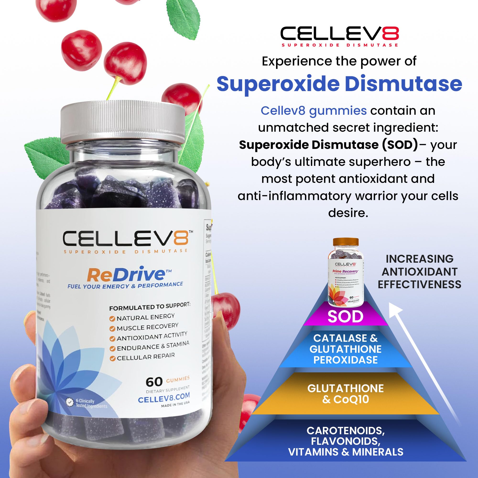 Cellev8 ReDrive gommes – ingrédients actifs et polyphénols ciblés