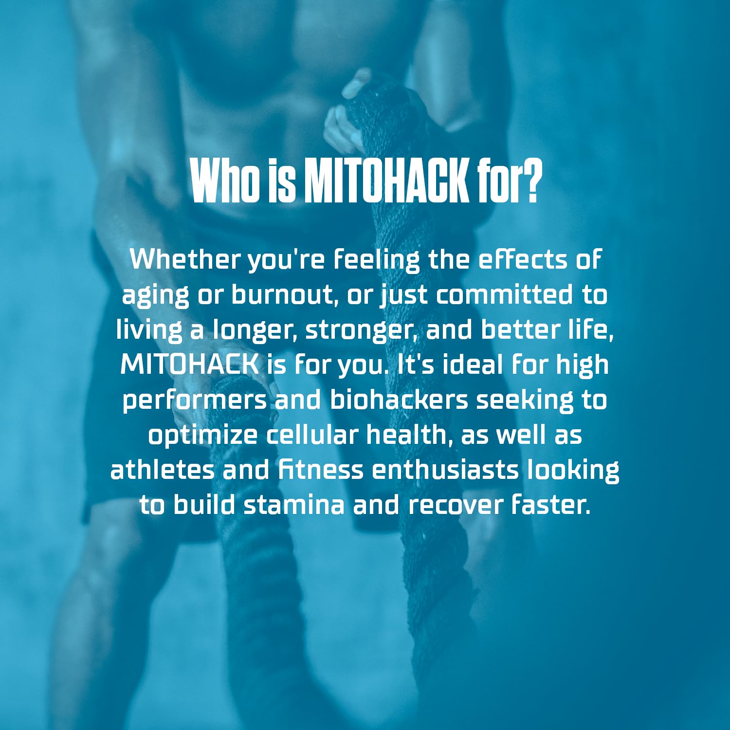 CellHack MITOHACK, informations-tableau: traçabilité et pureté garanties.