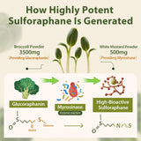 Cenffitio activant NRF2, soutien des défenses cellulaires potentielles