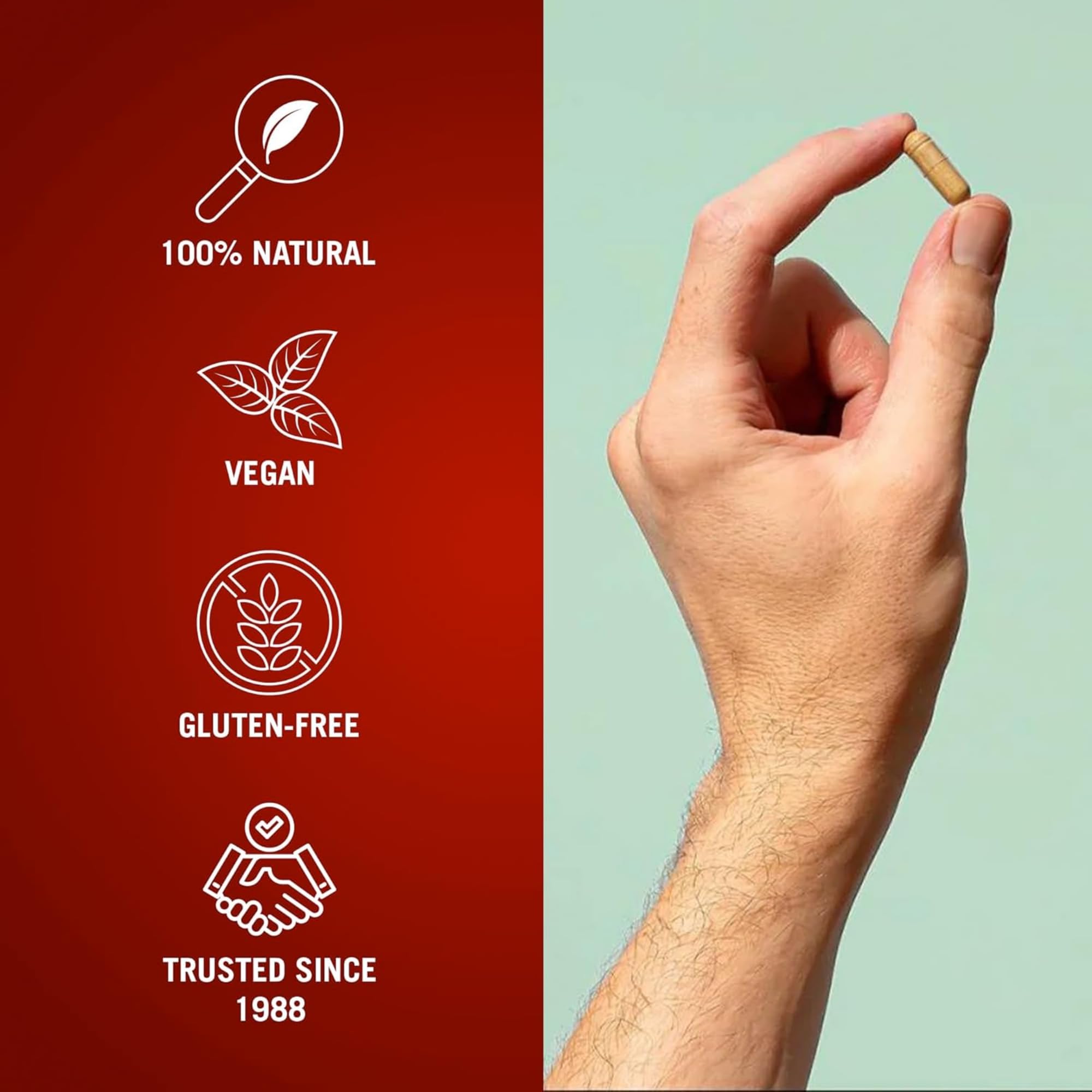 Century Systems The Cleaner Detox – Utilisation nomade lors de déplacements.