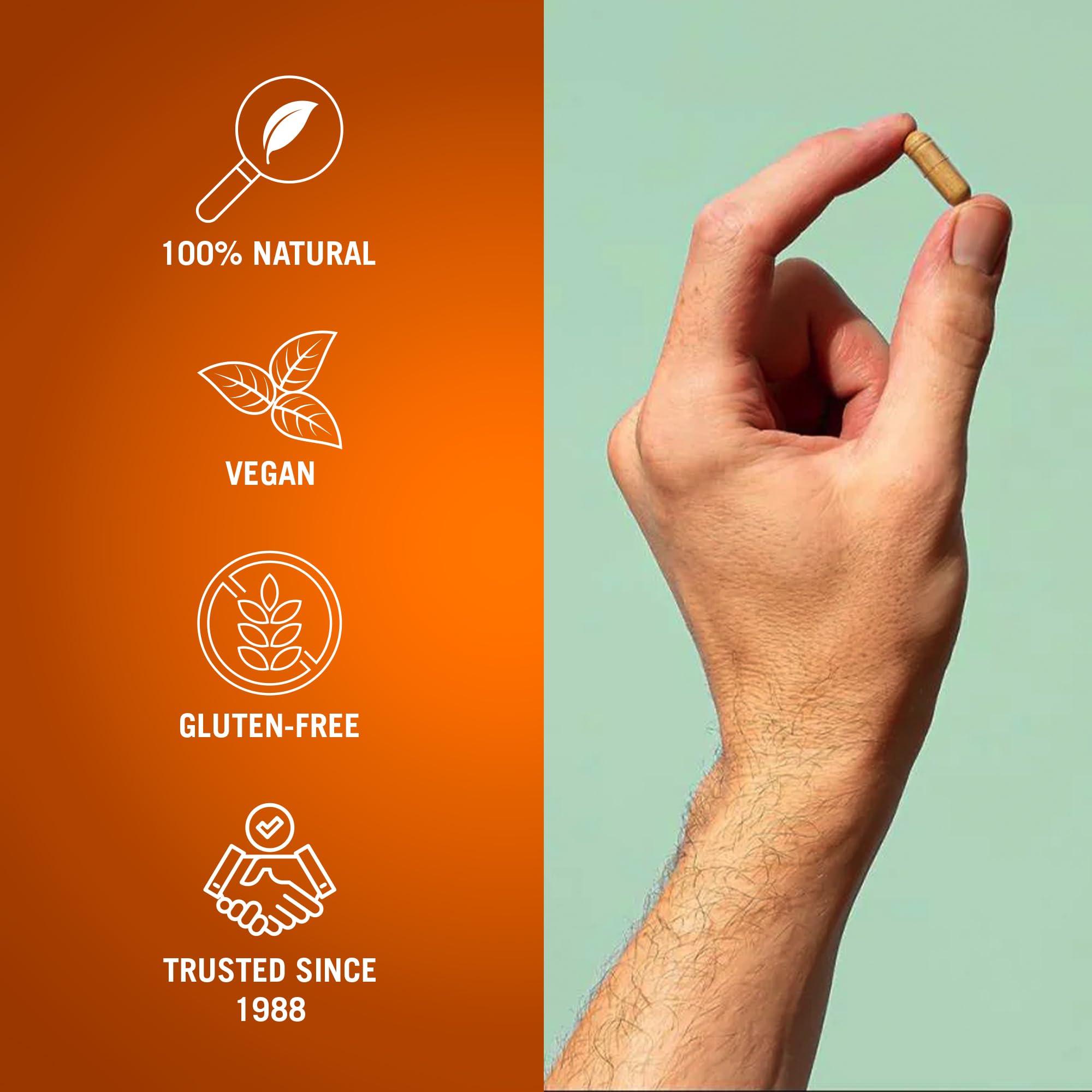 Century Systems The Cleaner Detox – Mise en œuvre matin et soir simplifiée.
