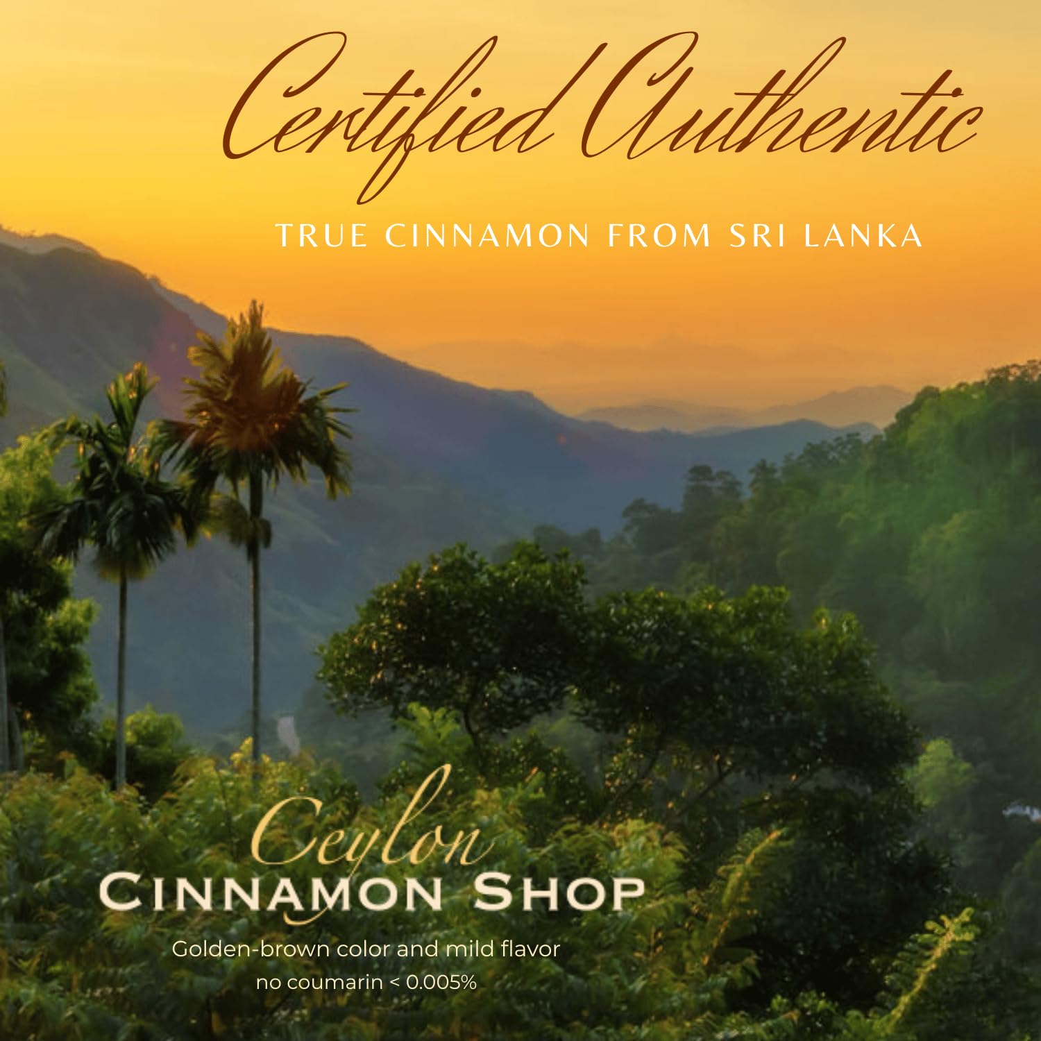 Ceylon Cinnamon Shop CinnaGold conditionnement sans sucre pour routine équilibrée.
