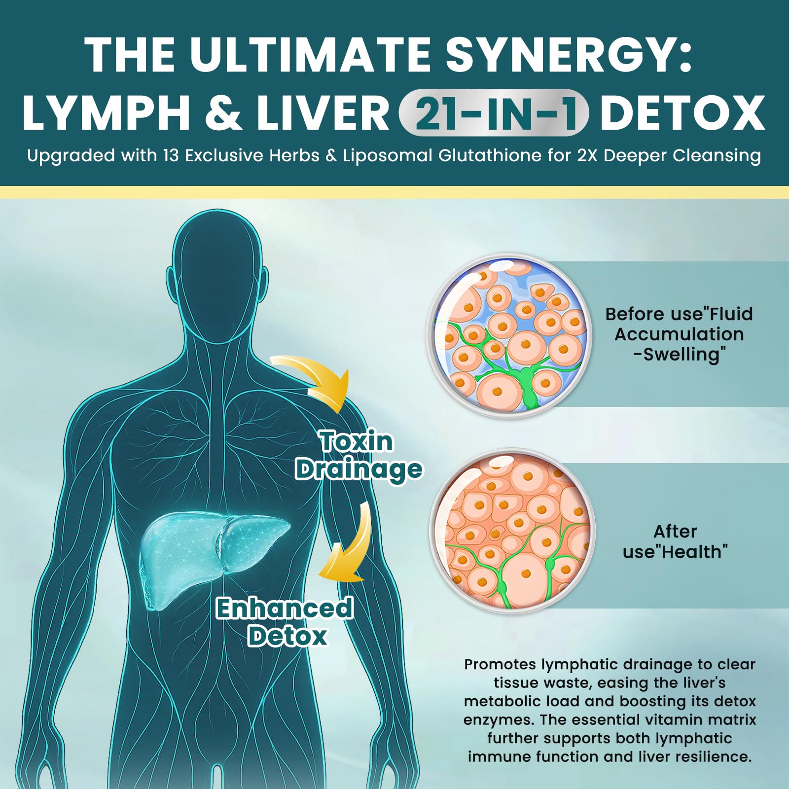 CFILIHTC draine lymphatique botanique liposomal favorise circulation et drainage naturel.