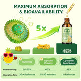 CFILIHTC GABA L-Theanine absorption liposomale – meilleure absorption potentielle.
