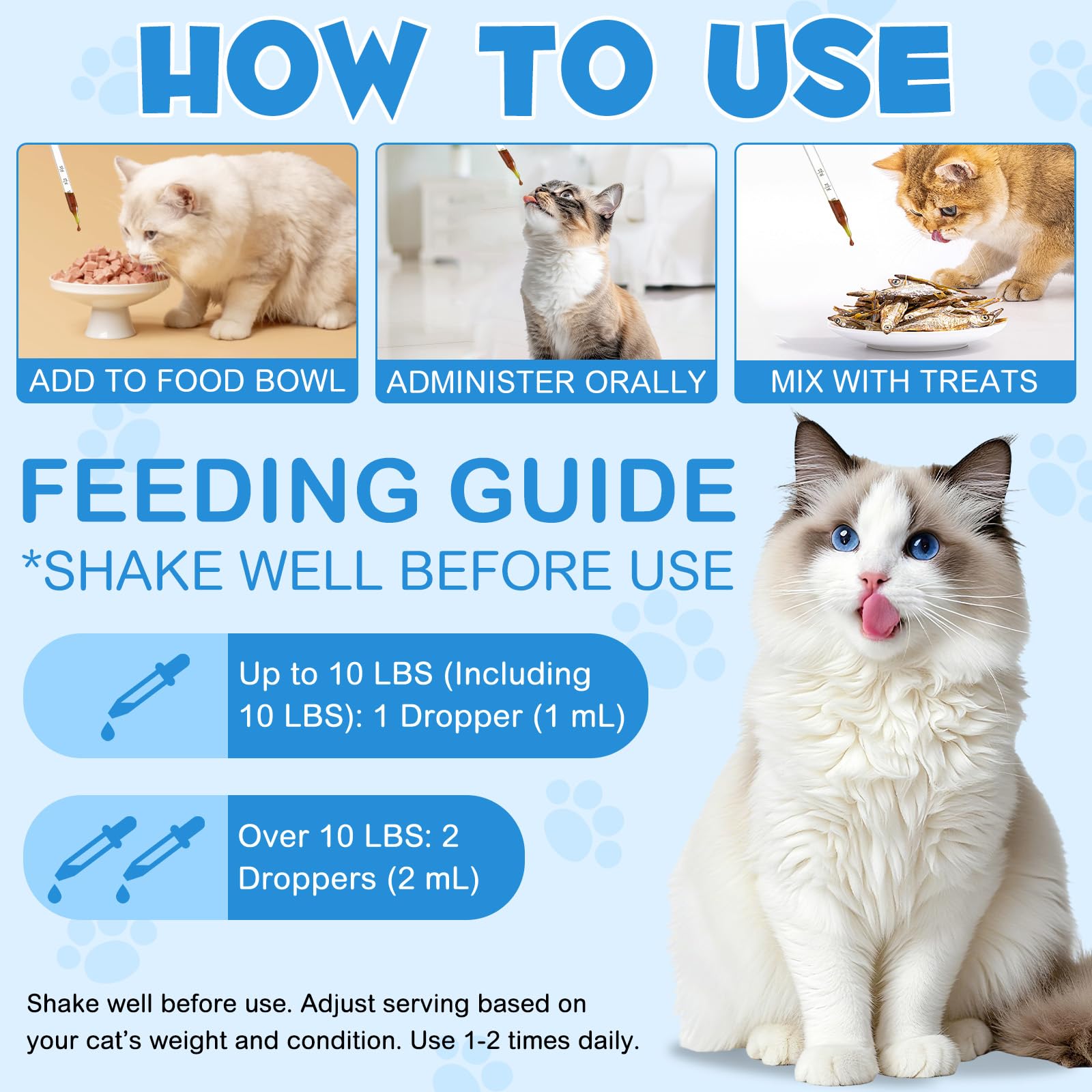 Premier plan sur l'œil du chat et l'hydratation possible.