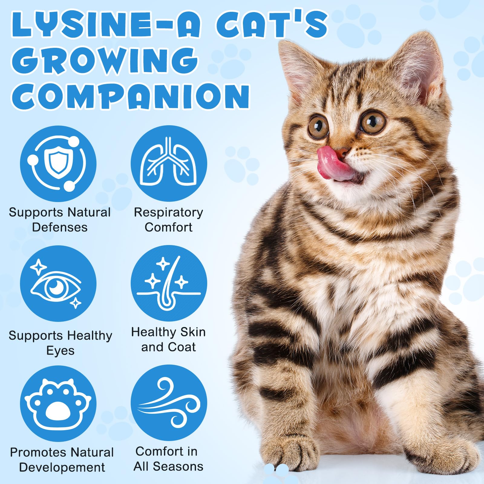 CFXYHNOX pipette gouttes, dosage précis pour les chats.