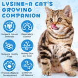 CFXYHNOX pipette gouttes, dosage précis pour les chats.