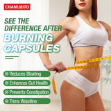 CHANUBITO Berberine démonstration d’absorption élevée et biodisponibilité potentielle.