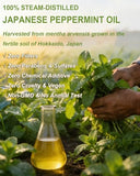 CHDGSJ huile menthe poivrée japonaise – résultats labo et pureté