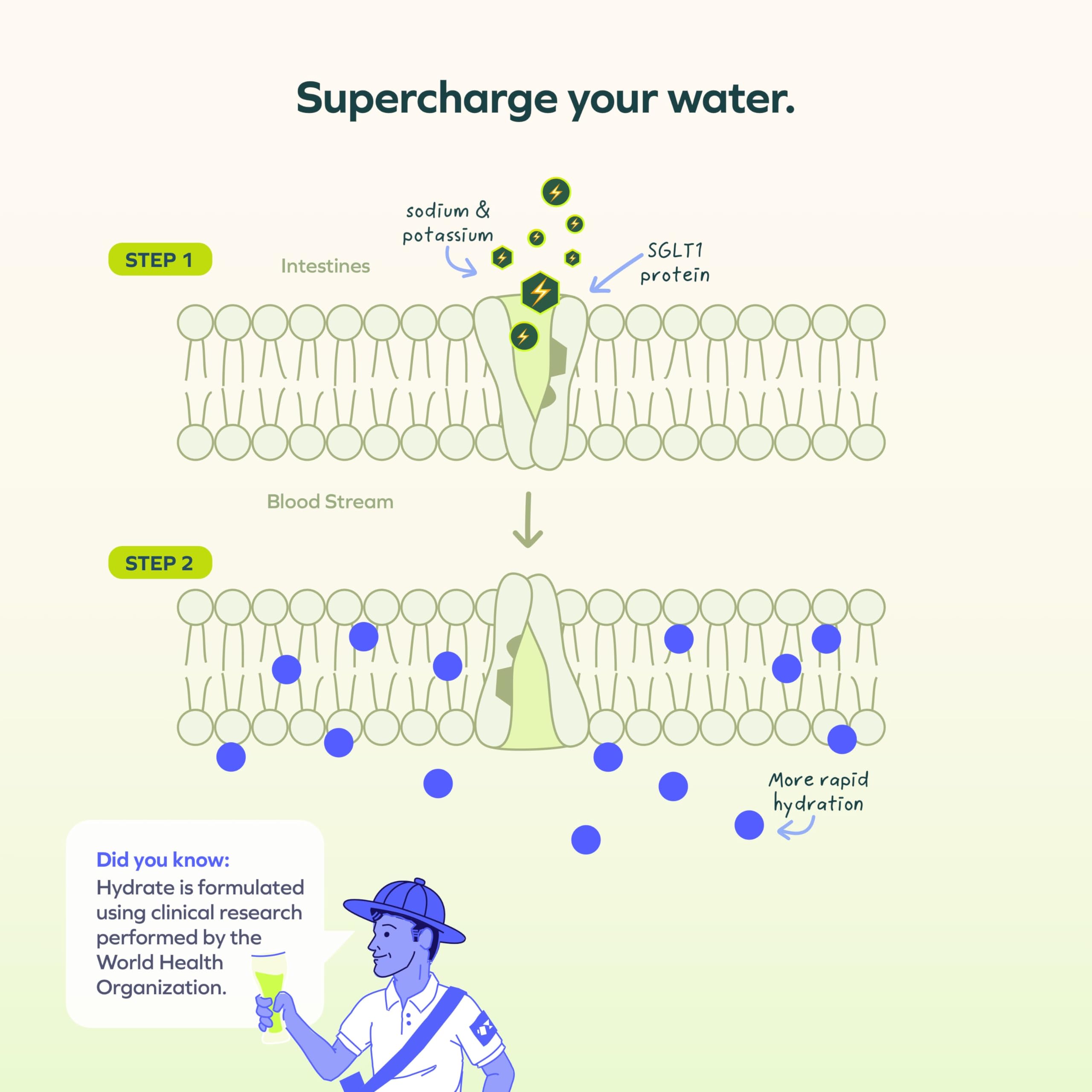 Cheers Hydrate — mélange dans l'eau avec goût frais citron-lime.