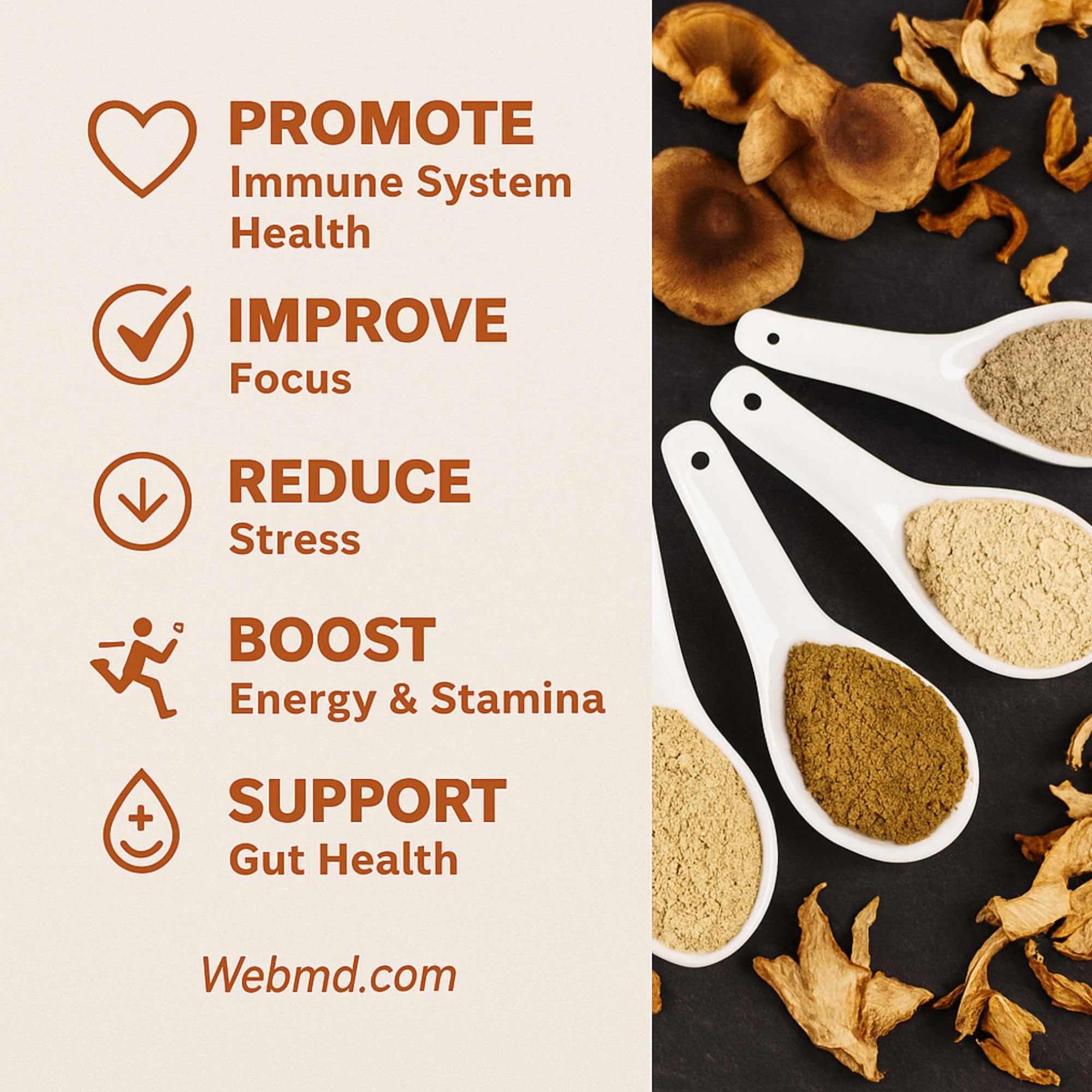Chérie Sweet Heart mélange champignons premium, idéal pour une intégration quotidienne