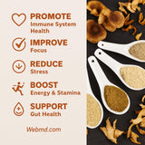 Chérie Sweet Heart mélange champignons premium, idéal pour une intégration quotidienne