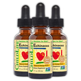 CHILDLIFE ESSENTIALS Echinacea Kids gouttes – soutien immunitaire doux pour enfants