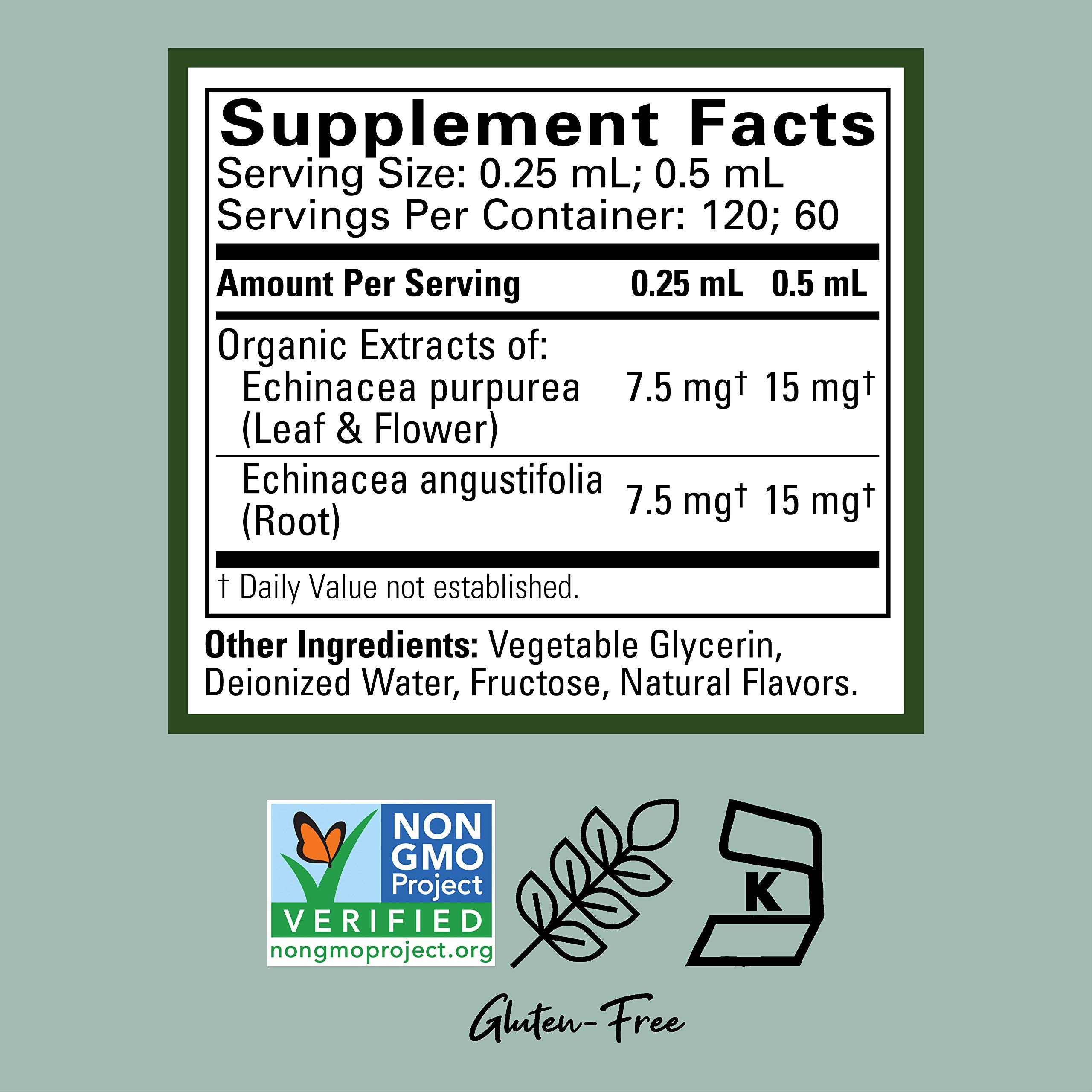 CHILDLIFE ESSENTIALS Echinacea — Saveur orange, goût apprécié par les enfants.