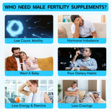 Chisytkiy tribulus terrestris soutien potentiel à la vitalité masculine.