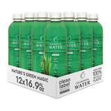Chlorophyll Water – bouteille purifiée et hydratation fiable.