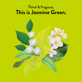 Fleurs de jasmin sur le thé vert, arôme délicat et revitalisant