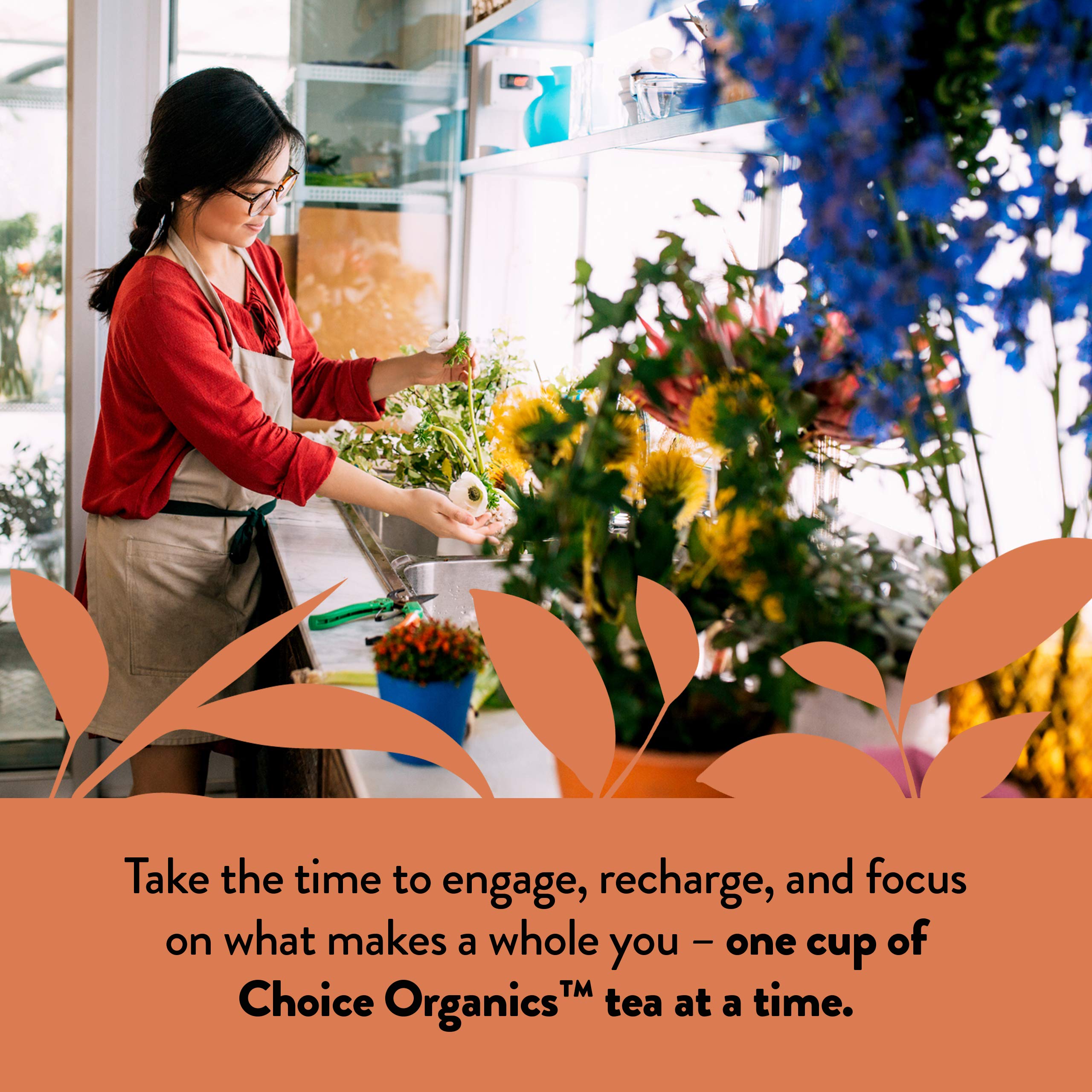 Choice Organic Teas Oolong : étiquette Commerce équitable et bio