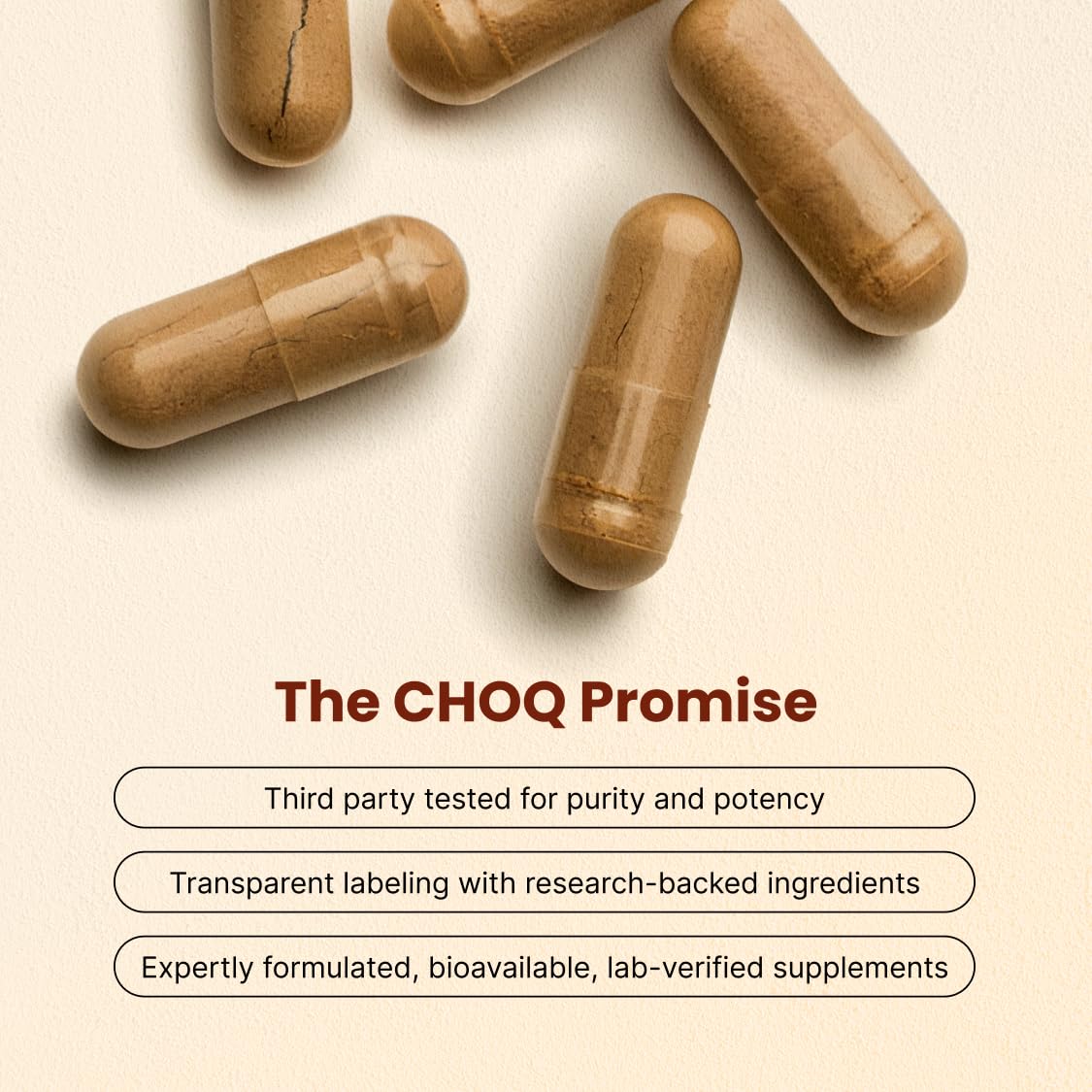 CHOQ Daily – PrimaVie Shilajit purifié, endurance naturelle potentielle.