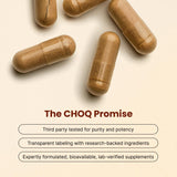 CHOQ Daily – PrimaVie Shilajit purifié, endurance naturelle potentielle.