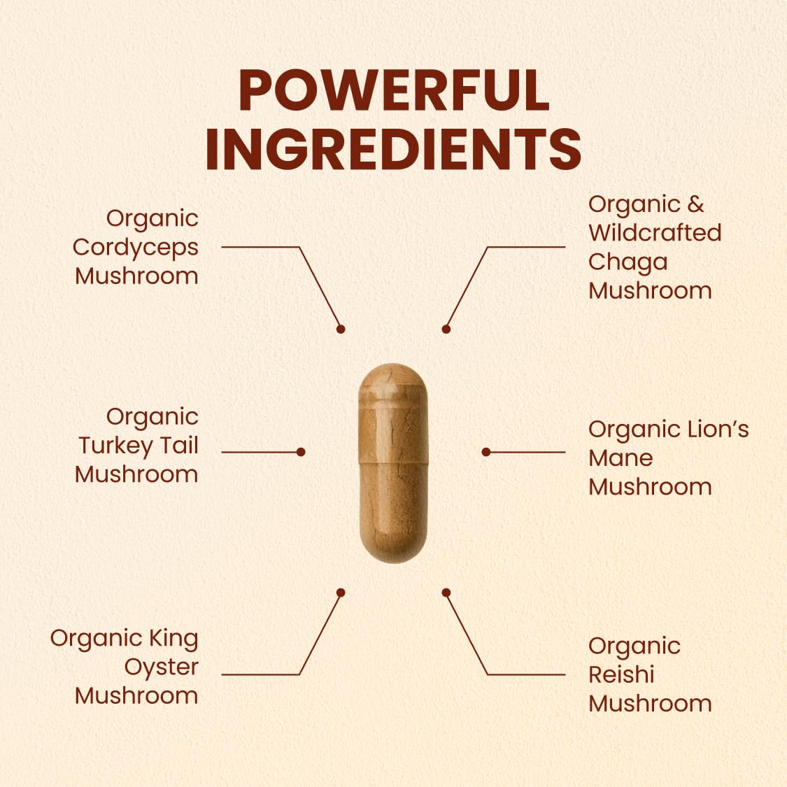 CHOQ Seven Wonders: capsules pratiques pour soutenir la vitalité quotidienne.
