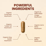 CHOQ Seven Wonders: capsules pratiques pour soutenir la vitalité quotidienne.