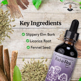 Christopher’s Original Formulas Kid-e-Reg Bowel Tonic: flacon liquide, soutien digestif doux