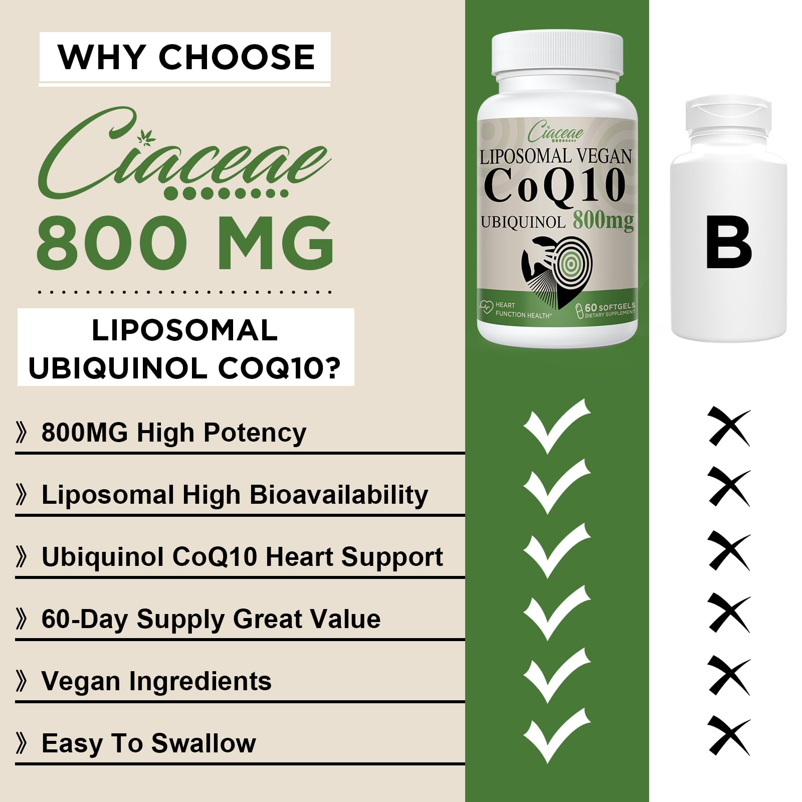 Absorption maximale grâce au liposome Ciaceae CoQ10, disponibilité améliorée.