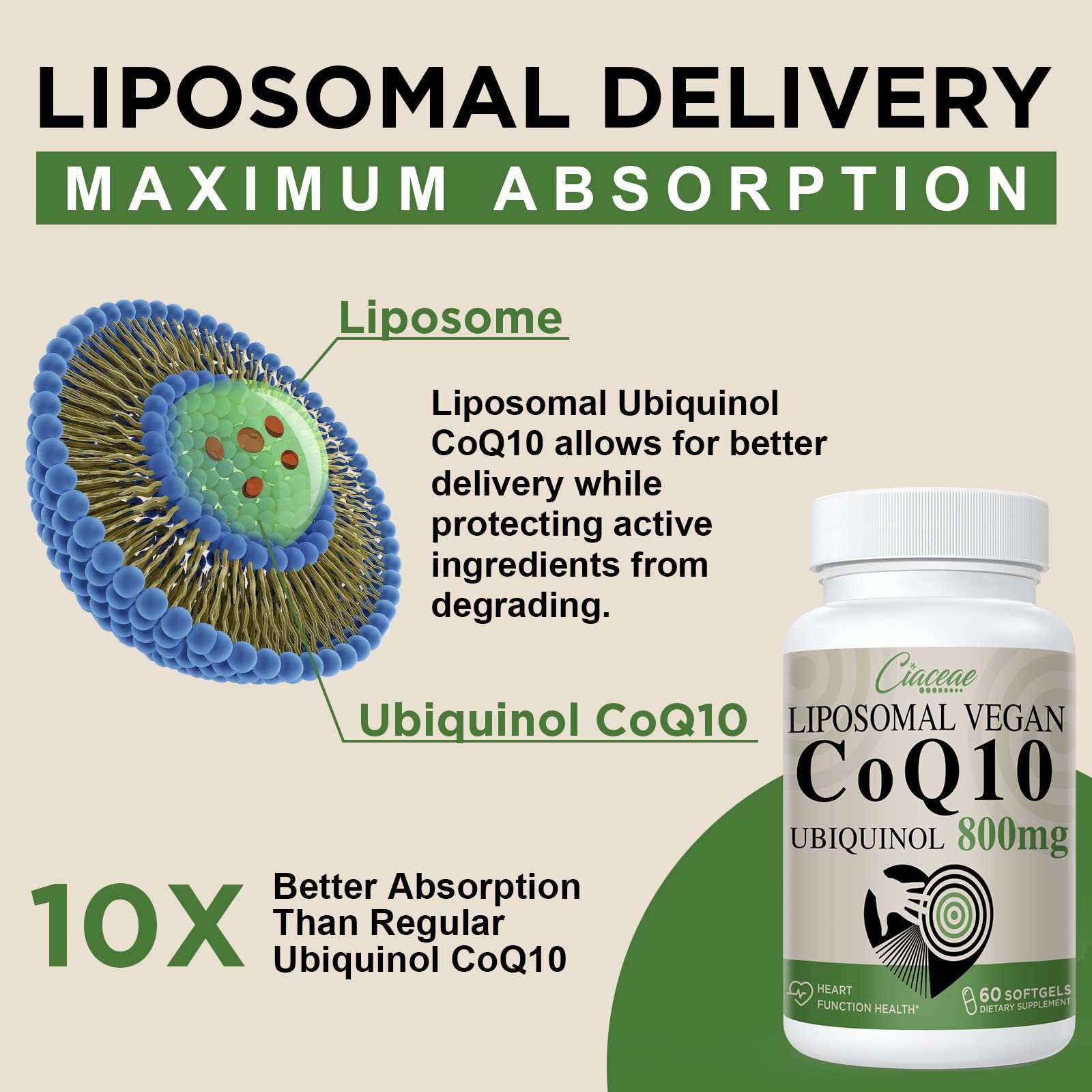 Forme ubiquinol active Ciaceae CoQ10, biodisponibilité potentiellement élevée.