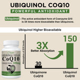 Utilisation quotidienne possible pour soutenir l'énergie avec Ciaceae CoQ10 liposomal.