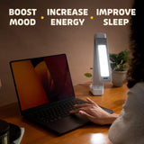 Lumos 2.0, panneau plein spectre, lumière uniforme pour stimuler l'attention.