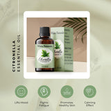 Citronnelle White Naturals prête à diffuser pour une ambiance vivifiante.
