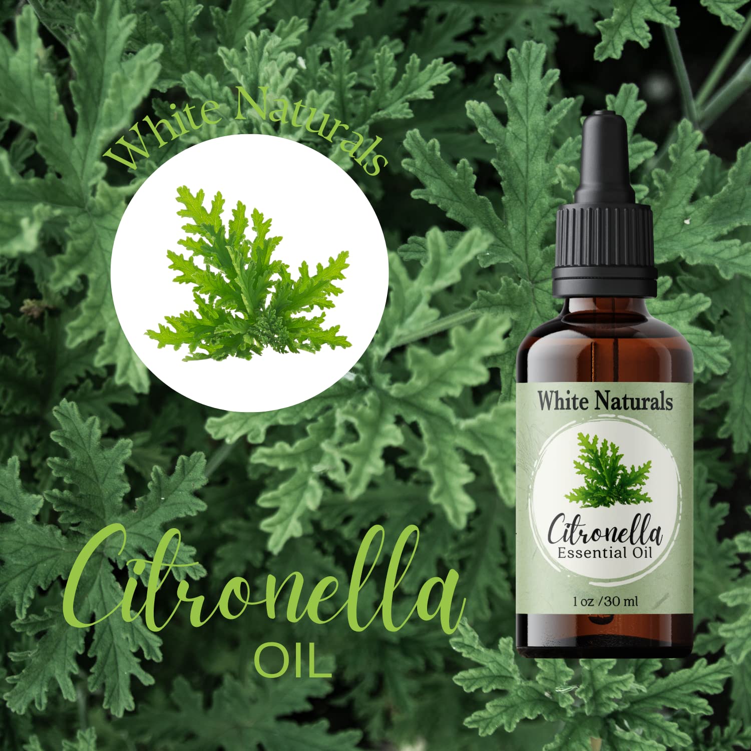 Bouteille ambrée White Naturals protège la fragrance et prolonge la fraîcheur.