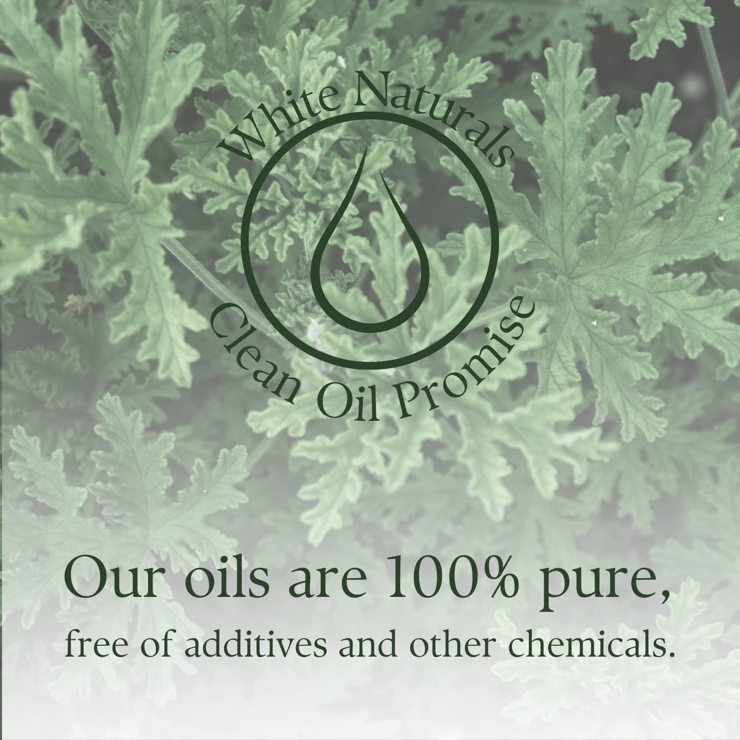 Entretien quotidien White Naturals Citronnelle, senteur naturelle dans l’air.