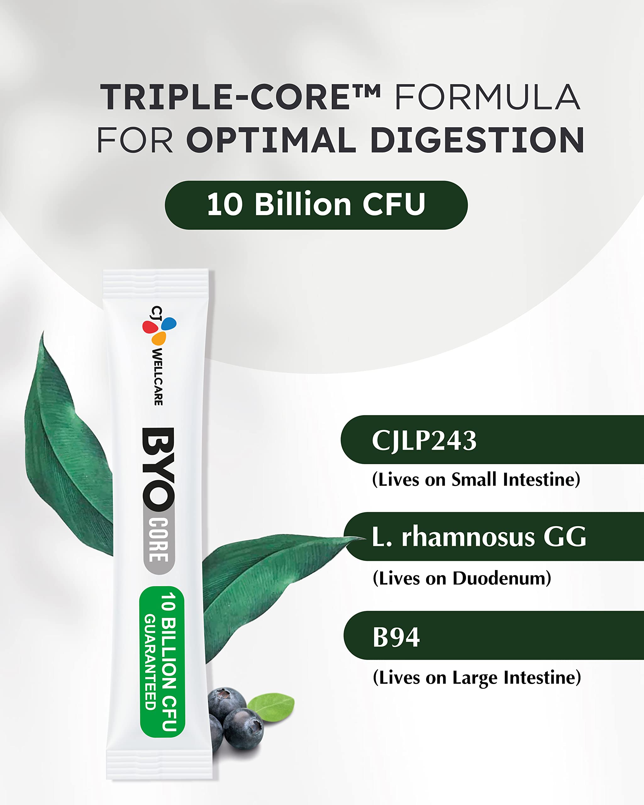 Indication 10 milliards CFU garantis par dose BYOCORE.