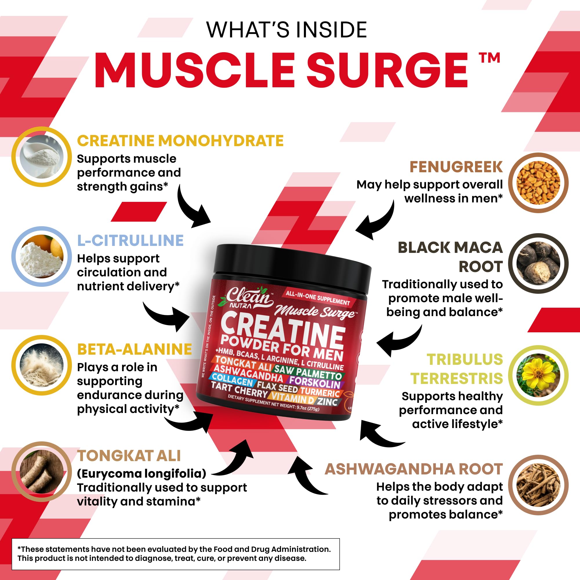 Clean Nutra Creatine et ingrédients clés pour la circulation musculaire