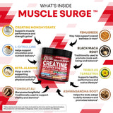 Clean Nutra Creatine et ingrédients clés pour la circulation musculaire