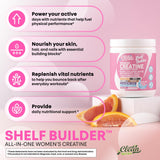 Clean Nutra Enzymes digestifs et L-Glutamine en poudre, absorption améliorée.