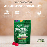 Rythme énergétique: gommes Clean Nutra Moringa pour vitalité quotidienne.