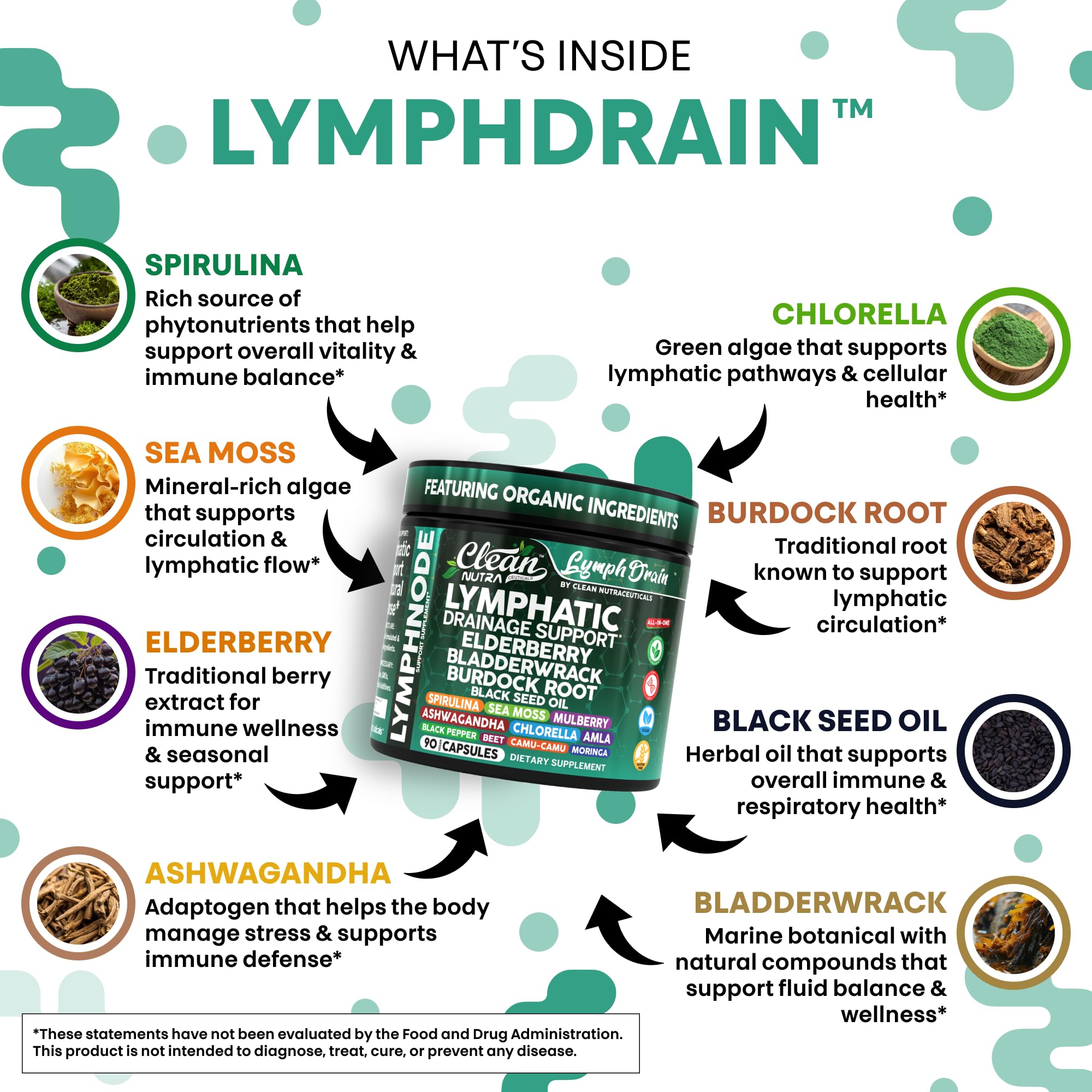 Clean Nutraceuticals – spiruline et chlorelle en capsules pour nutrition et énergie naturelle.