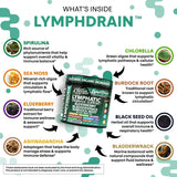 Clean Nutraceuticals – spiruline et chlorelle en capsules pour nutrition et énergie naturelle.