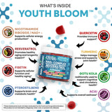 Bonbons gélifiés Youth Bloom, texture lisse, faciles à intégrer à votre routine.