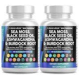 Clean Nutraceuticals algue marine irlandaise en bouteille, énergie potentielle.