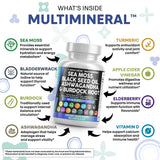Clean Nutraceuticals ashwagandha-extrait : soutien calmant potentiel