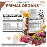 Clean Nutraceuticals capsules pancreas bovin, aide digestion potentielle