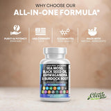 Clean Nutraceuticals curcumine-poudre : antioxydant polyvalent