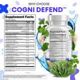 Clean Nutraceuticals Ginkgo Biloba – formule pour le bien-être cognitif.