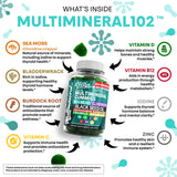 Gomme d'algues marines verte pomme Clean Nutraceuticals, texture moelleuse idéale pour la collation.