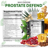 Clean Nutraceuticals lecithine-tournesol soutient l'équilibre lipide