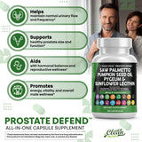 Clean Nutraceuticals ortie-piquante apport naturel en nutriments